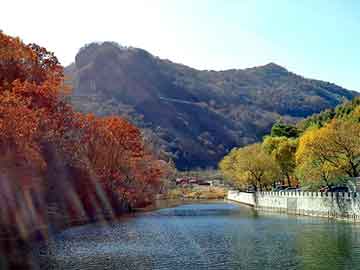 佛山到山东物流，麟游seo排名